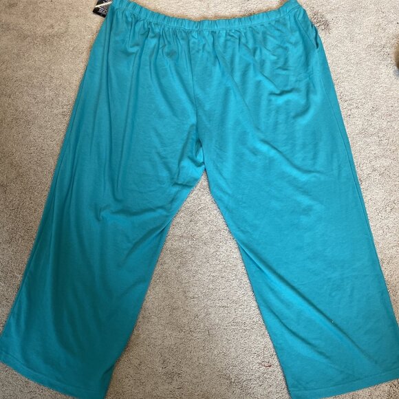 Woman Within Pull On Pants Size 5X Turquoise Elastic Stretch Athleisure Comfort - Picture 5 of 12